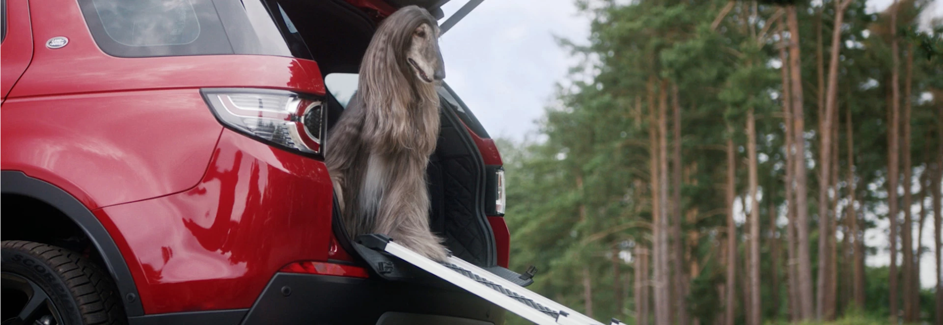 Land Rover reveals dog-friendly transport packs